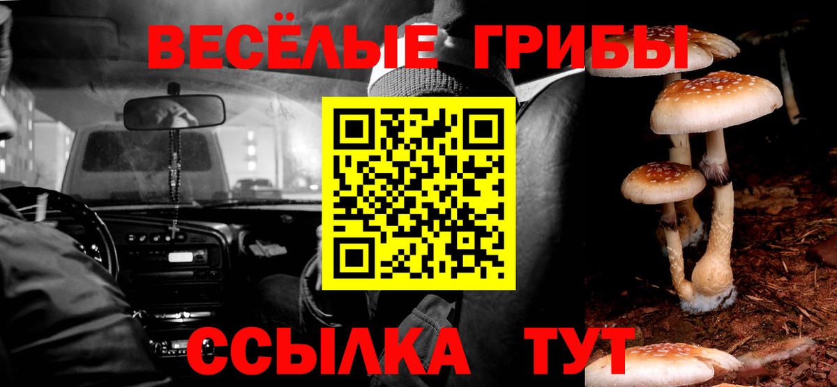 Псилоцибиновые грибы Psilocybine cubensis  Вход с VPN  Реж  Галлюциногенные грибы Psilocybine cubensis 